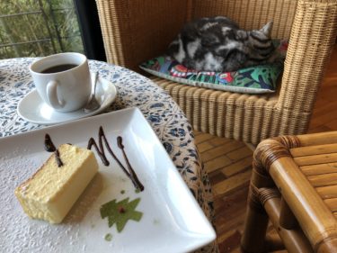 北鎌倉ギャラリー&カフェ ネストに行ってきた！猫のいる隠れ家カフェNESTで食べる鎌倉スイーツ