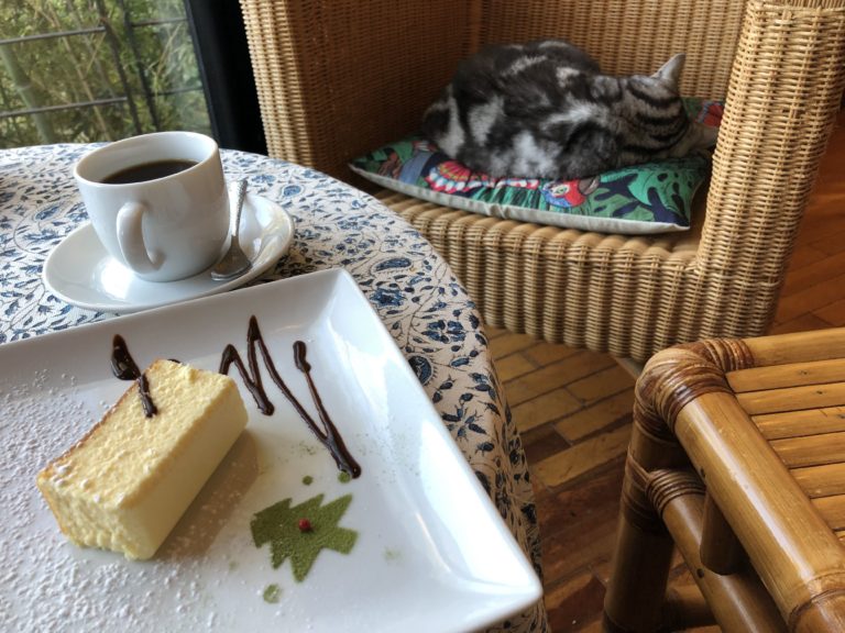 北鎌倉ギャラリー カフェ ネストに行ってきた 猫のいる隠れ家カフェnestで食べる鎌倉スイーツ 鎌倉な子