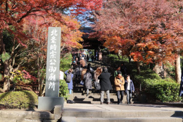 円覚寺の門前の紅葉は圧巻！見どころやアクセス方法を紹介します！