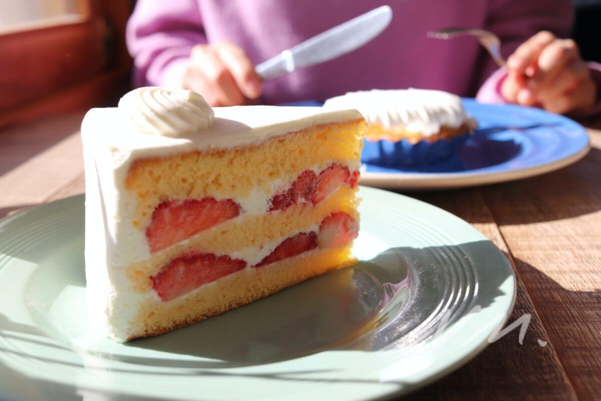 ポンポンケークス（POMPON CAKES）鎌倉梶原の住宅街にある幸せいっぱいケーキ屋・カフェ｜鎌倉な子